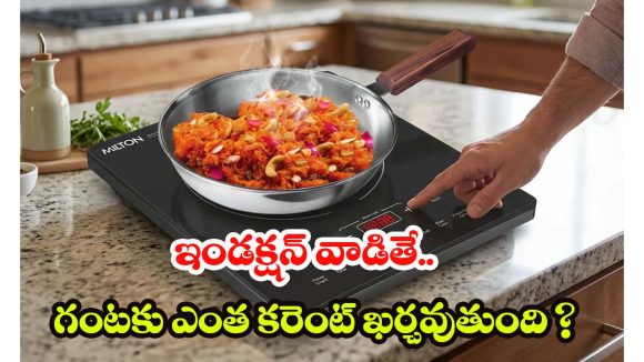 Induction Stove: గ్యాస్ కంటే చౌకగా ఇండక్షన్‌పై వంట.. గంట వాడితే ఎంత ఖర్చవుతుందంటే ?