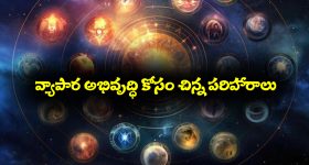 ఈ చిన్న రెమెడీస్ పాటిస్తే మీ వ్యాపారం మూడు పువ్వులు ఆరు కాయలుగా సాగుతుందట