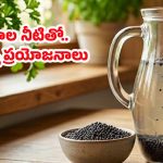 పోపుల పెట్టెలోని ఈ ‘చిన్న గింజల నీరు’.. మీ గుండెకు శ్రీరామరక్ష!