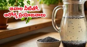 వాస్తు ప్రకారం ఆలాంటి ఇళ్లలో ఉంటే కోటీశ్వరులైనా దరిద్రులు అయిపోతారట