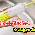 Tips For Water Bottle: వాటర్ బాటిల్ క్లీనింగ్.. ఇలా చేస్తే జిడ్డు, బ్యాక్టీరియా క్షణాల్లోనే మాయం