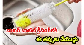 Tips For Water Bottle: వాటర్ బాటిల్ క్లీనింగ్.. ఇలా చేస్తే జిడ్డు, బ్యాక్టీరియా క్షణాల్లోనే మాయం
