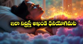 immense wealth: ఆ దిశకు తల ఉంచి నిద్రిస్తే అఖండ ధనయోగం పడుతుందట