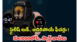 Tamballapalle Politics: తంబళ్లపల్లె టీడీపీలో 'త్రిశూల వ్యూహం'..  పెద్దిరెడ్డి కోటను బద్దలు కొట్టే ఆ 'మగాడు' ఎవరు?