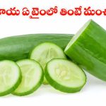 Cucumber: కీరదోసతో వేసవి తాపానికి చెక్! ఏ సమయంలో తింటే ఎక్కువ లాభమో తెలుసా?