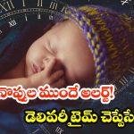 Birth Time Prediction: డెలివరీ ఎప్పుడో చెప్పేసే ఇండియన్ AI.. గర్భిణీలకు వరం, ఇక రిస్కులకు చెక్!