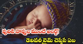 Birth Time Prediction: డెలివరీ ఎప్పుడో చెప్పేసే ఇండియన్ AI.. గర్భిణీలకు వరం, ఇక రిస్కులకు చెక్!