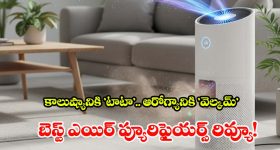 Hair Oiling Tips: జుట్టు ఒత్తుగా పెరగాలంటే నూనె ఎప్పుడు పెట్టుకోవాలి? ఉదయమా లేక రాత్రుళ్లా?