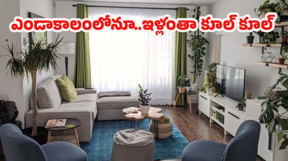 Summer Tips: ఎండాకాలంలో మీ ఇంటిని ఏసీ లేకుండానే చల్లగా ఉంచుకోండి ఇలా!