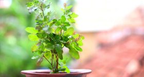 Ugadi panchangam 2026: కర్కాటక రాశికి ఈ సంవత్సరం ఊహించని అభివృద్ది