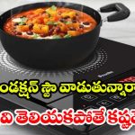 Induction Stove: ఇండక్షన్ స్టౌ గురించి 10 సీక్రెట్స్ .. చాలా మందికి తెలియని నిజాలు !