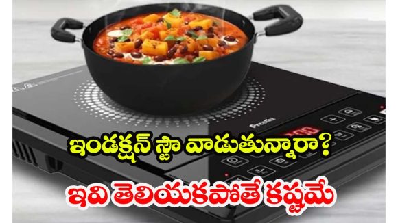 Induction Stove: ఇండక్షన్ స్టౌ గురించి 10 సీక్రెట్స్ .. చాలా మందికి తెలియని నిజాలు !