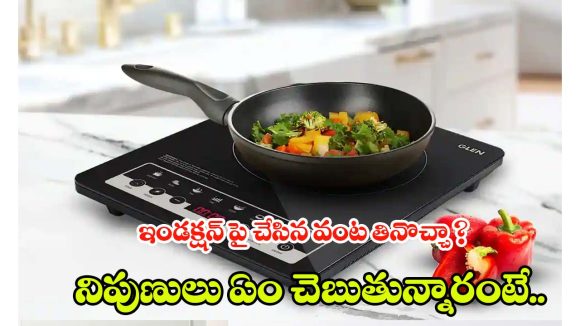 Induction Cooking: గ్యాస్ Vs ఇండక్షన్.. ఏది ఆరోగ్యకరం? మీ వంటగది కోసం బెస్ట్ ఛాయిస్ ఏంటి ?