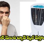 Cooler Bad Smell Solution: కూలర్ నుంచి బ్యాడ్ స్మెల్‌ వస్తోందా ? ఇలా చేస్తే.. క్షణాల్లోనే ప్రాబ్లమ్ సాల్వ్