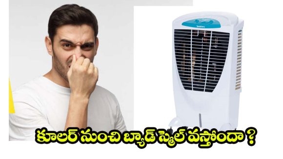 Cooler Bad Smell Solution: కూలర్ నుంచి బ్యాడ్ స్మెల్‌ వస్తోందా ? ఇలా చేస్తే.. క్షణాల్లోనే ప్రాబ్లమ్ సాల్వ్