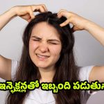 Scalp Infections: ఎక్కువగా జుట్టు రాలుతోందా ? స్కాల్ప్ ఇన్ఫెక్షన్లు కారణం కావొచ్చు