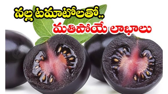 Black Cherry Tomato: నల్ల టమాటోలతో అద్భుత ప్రయోజనాలు.. తెలిస్తే అస్సలు వదలరు!
