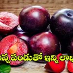 Plum Health Benefits: ఈ చిన్న ఫ్రూట్‌తో బోలెడు లాభాలు.. తింటే వ్యాధులు పరార్ !