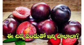 Plum Health Benefits: ఈ చిన్న ఫ్రూట్‌తో బోలెడు లాభాలు.. తింటే వ్యాధులు పరార్ !