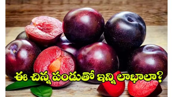 Plum Health Benefits: ఈ చిన్న ఫ్రూట్‌తో బోలెడు లాభాలు.. తింటే వ్యాధులు పరార్ !