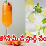 Summer Morning Drinks: డీహైడ్రేషన్‌కు చెక్.. సమ్మర్‌లో ఖాళీ కడుపుతో తీసుకోవాల్సిన బెస్ట్ డ్రింక్స్