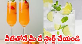 Summer Morning Drinks: డీహైడ్రేషన్‌కు చెక్.. సమ్మర్‌లో ఖాళీ కడుపుతో తీసుకోవాల్సిన బెస్ట్ డ్రింక్స్