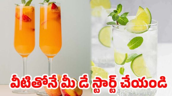 Summer Morning Drinks: డీహైడ్రేషన్‌కు చెక్.. సమ్మర్‌లో ఖాళీ కడుపుతో తీసుకోవాల్సిన బెస్ట్ డ్రింక్స్