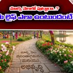 Born in March: మార్చి నెలలో పుట్టారా..? అయితే మీ లైఫ్ ఎలా ఉంటుందో తెలుసా..?