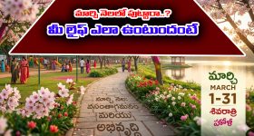 Born in March: మార్చి నెలలో పుట్టారా..? అయితే మీ లైఫ్ ఎలా ఉంటుందో తెలుసా..?
