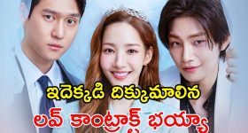 Political Thriller OTT: మాఫియా లీడర్ గా మారే గూఢచారి... వెంట పడే డిటెక్టివ్... కేక పెట్టిస్తున్న కొరియన్ థ్రిల్లర్