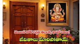 CM Revanth Reddy: హైదరాబాద్‌కు నెట్‌ఫ్లిక్స్ వస్తే హాలీవుడ్ వచ్చినట్లే.. ఆ నాలుగు సినిమాల వల్లే ఇదంతా: సీఎం రేవంత్ రెడ్డి
