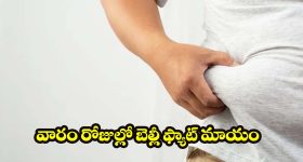 Minister Jupally: మంత్రి జూపల్లి కృష్ణారావుకి దక్కిన అరుదైన గౌరవం.. అవార్డు అందజేత..?