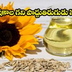 Sunflower Oil Benefits: వంటకు సన్‌ఫ్లవర్ ఆయిల్ ఎందుకు మంచిది? తెలిస్తే షాక్ అవడం గ్యారంటీ