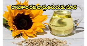 Sunflower Oil Benefits: వంటకు సన్‌ఫ్లవర్ ఆయిల్ ఎందుకు మంచిది? తెలిస్తే షాక్ అవడం గ్యారంటీ