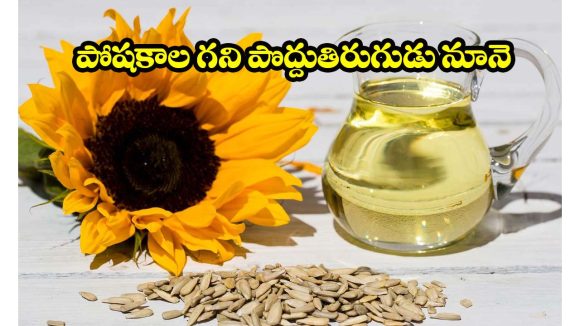 Sunflower Oil Benefits: వంటకు సన్‌ఫ్లవర్ ఆయిల్ ఎందుకు మంచిది? తెలిస్తే షాక్ అవడం గ్యారంటీ
