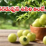 Amla  Benefits: పరగడుపున ఉసిరికాయ తింటే కలిగే.. అద్భుత ప్రయోజనాలు