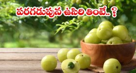 Amla  Benefits: పరగడుపున ఉసిరికాయ తింటే కలిగే.. అద్భుత ప్రయోజనాలు