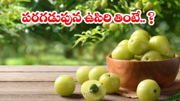 Amla  Benefits: పరగడుపున ఉసిరికాయ తింటే కలిగే.. అద్భుత ప్రయోజనాలు