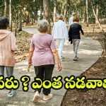 Walking: రోజూ నడక ఆరోగ్యానికి మంచిదే కానీ.. వయస్సును బట్టి ఎంత నడవాలో తెలుసా?