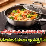 Induction safety guidelines: వంట గదిలో మ్యాజిక్ మ్యాగ్నెట్..వీళ్లు పొరపాటున కూడా ఇండక్షన్ స్టవ్ దగ్గరకు వెళ్లొద్దు !