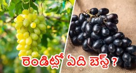 PM Modi On SRH: పాకిస్తాన్ ప్లేయ‌ర్లు కూడా ఉగ్ర‌వాదులే, వాళ్ల‌ను కొంటే ప‌ర్మినెంట్ బ్యాన్ వేయడం ప‌క్కా