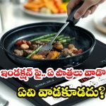 Induction Cooktop Utensils: ఇండక్షన్ స్టవ్ కొంటున్నారా? ఈ ‘మ్యాగ్నెటిక్’ చిట్కాలు తెలియకపోతే కష్టమే !