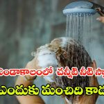 Cold Showers In Summer: వేసవిలో చన్నీటి స్నానం చేస్తున్నారా? ఈ నిజాలు తెలిస్తే షాక్ అవడం గ్యారంటీ