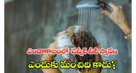 Cold Showers In Summer: వేసవిలో చన్నీటి స్నానం చేస్తున్నారా? ఈ నిజాలు తెలిస్తే షాక్ అవడం గ్యారంటీ
