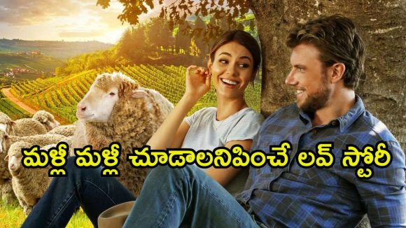 Romantic comedy OTT: వైన్ కంపెనీకి ఊహించని షాక్ … అమ్మాయి ప్రేమలో గొర్రెల కాపరి … కిక్కెక్కించే క్రేజీ స్టోరీ