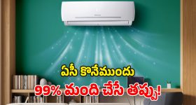 ACs Buying Tips: కొత్త ఏసీ కొనాలంటే.. ఈ నాలెడ్జ్ తప్పనిసరి.. లేదంటే ఈజీగా మోసపోతారు!