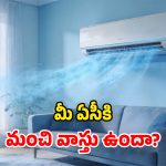 AC Placement Tips: ఏసీ కూలింగ్ రావట్లేదా? వాస్తు లేదనుకుంటా.. ఈ విషయాలు పక్కా తెలుసుకోండి!