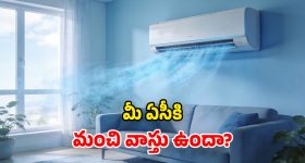 AC Placement Tips: ఏసీ కూలింగ్ రావట్లేదా? వాస్తు లేదనుకుంటా.. ఈ విషయాలు పక్కా తెలుసుకోండి!