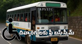Free Bus Scheme:  దివ్యాంగులకు గుడ్ న్యూస్.. ఆర్టీసీ బస్సుల్లో ఉచిత ప్రయాణం