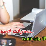 CSC Recruitment: నిరుద్యోగులకు శుభవార్త.. ఆధార్ సూపర్ వైజర్ ఉద్యోగాలు, ఈ అర్హత ఉంటే జాబ్ వచ్చేస్తది..!